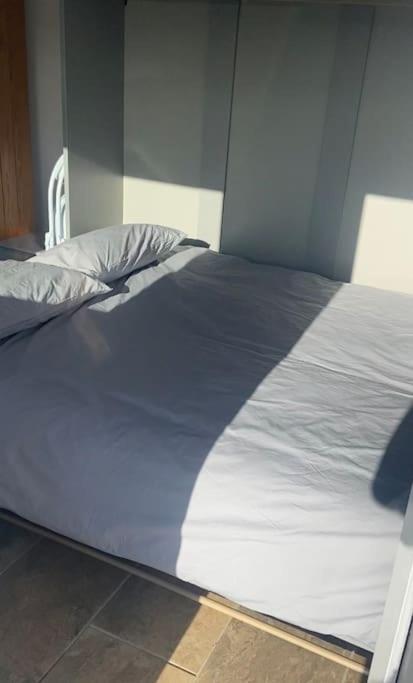Adorable Bedsit For You, Partner And Your Pet! Stepaside  Eksteriør billede
